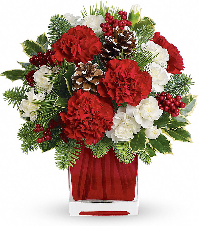 Make Merry Christmas with Carnations,Cheap White Christmas Flowers to