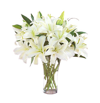 9 Pluriceps White Perfume lilies Send to Manila Philippines