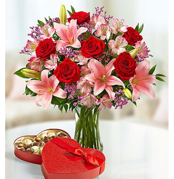 6 Red Roses Vase with Guylian Chocolate