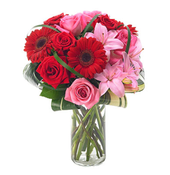 Asiatic lilies and Red Gerbera with Pink & Red Roses Send to Manila Philippines