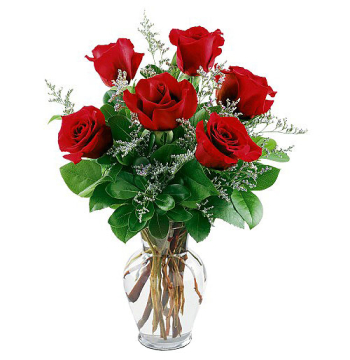 1/2 Dozen Red Roses Send to Manila Philippines