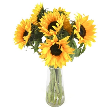 send eight sunflower in vase to manila