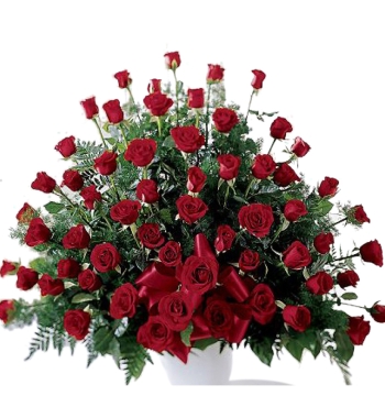 Splendid Red Rose Arrangement Send to Manila Philippines