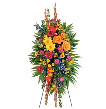 Carnations,Chrysanthemums,Gerberas,Asters,Roses,Gladioli and Palms Send to Manila Philippines