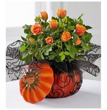 buy bewitching beauty halloween roses in manila