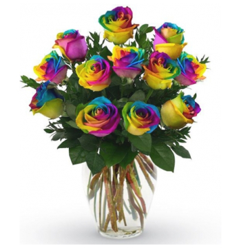 buy 12 rainbow roses vase manila