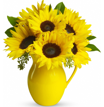 send eight sunflower in vase to manila