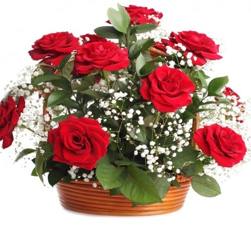 One Dozen Red Roses in Basket