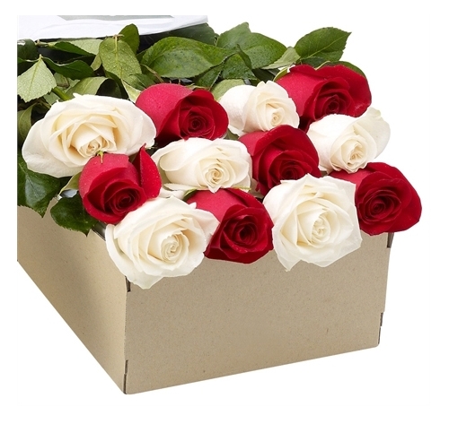 12 Hot Red Roses Box Send to Manila Philippines