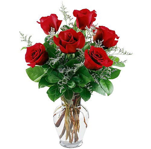 1/2 Dozen Red Roses Send to Manila Philippines