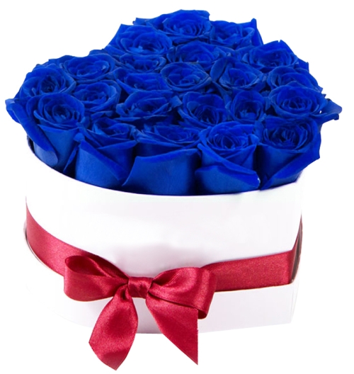 buy 12 blue roses box philippines