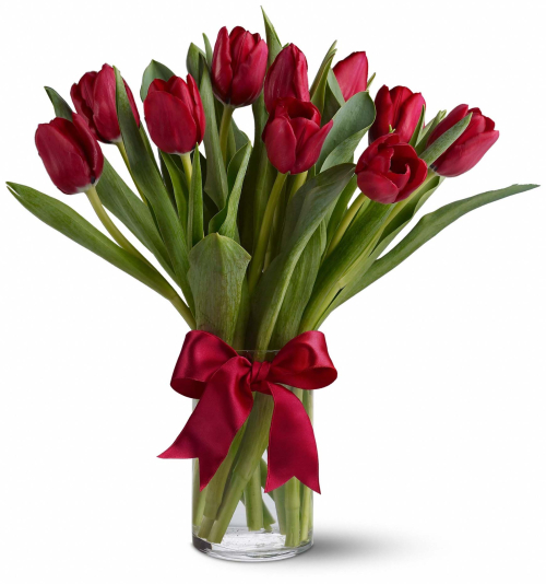 Red Tulip with Vase Send to Manila Philippines