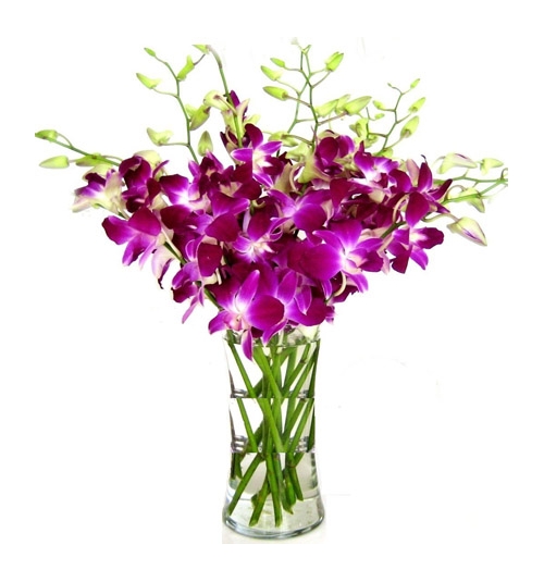 8pcs. Purple Orchids in a Vase