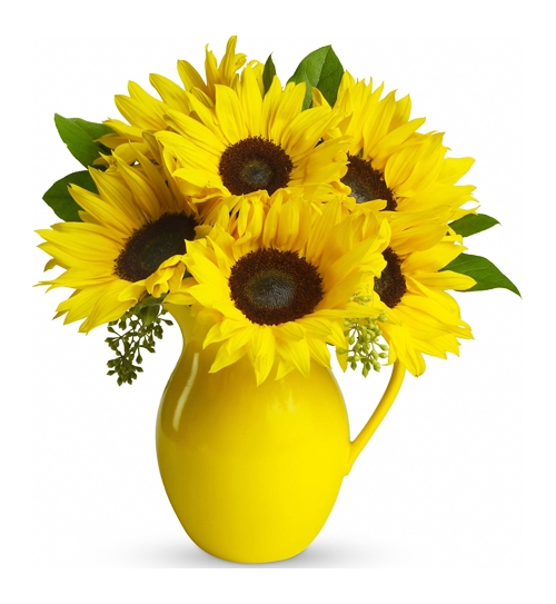 send eight sunflower in vase to manila