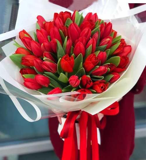 36 Red Tulips in a Bouquet