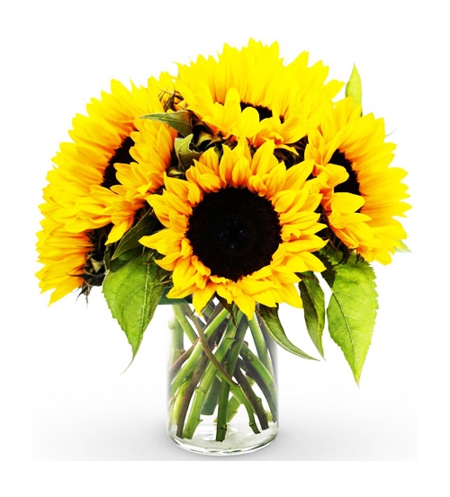 send Six sunflower in a vase to manila