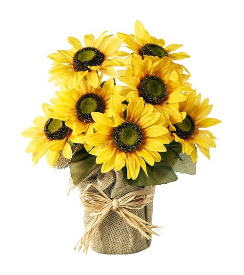 send Seven sunflower in bouquet to manila