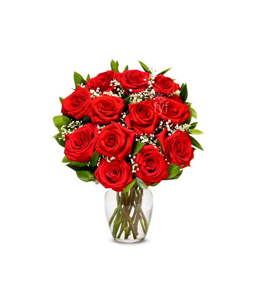 One Dozen Long Stemmed Red Roses Send to Manila Philippines