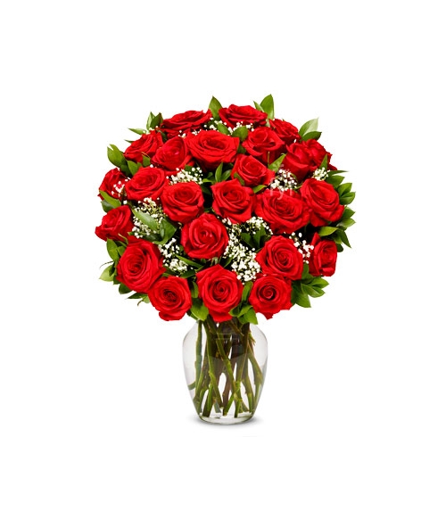 Two Dozen Long Stemmed Red Roses Send to Manila Philippines