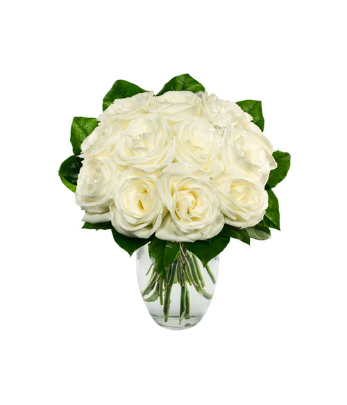 One Dozen White Roses Send to Manila Philippines