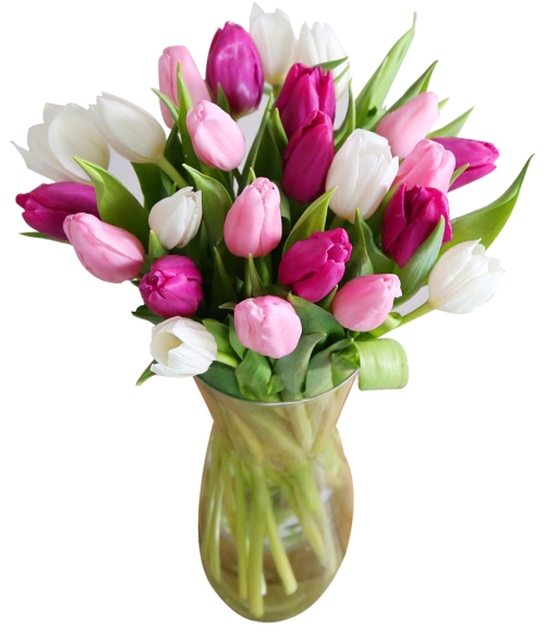 buy 24 mix tulips vase in manila