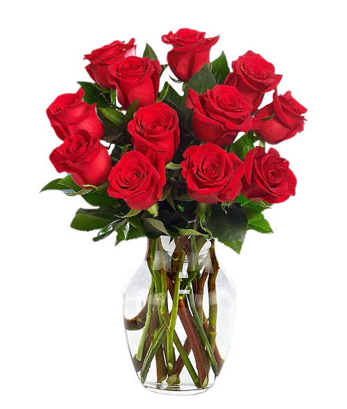 Valentines Flowers Manila - One Dozen Red Roses Vase