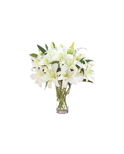 9 Pluriceps White Perfume lilies Send to Manila Philippines