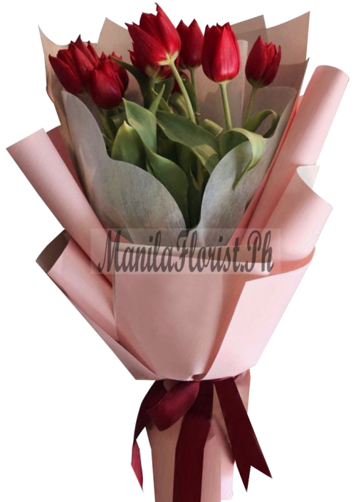 online 6 piece red tulips manila