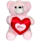 buy pink bear with love heart in manila